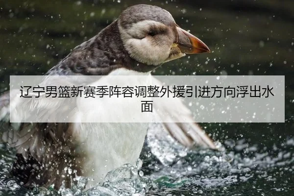 辽宁男篮新赛季阵容调整外援引进方向浮出水面
