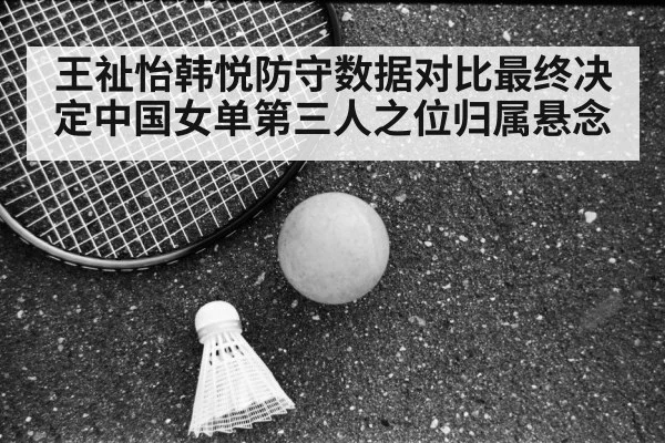 王祉怡韩悦防守数据对比最终决定中国女单第三人之位归属悬念